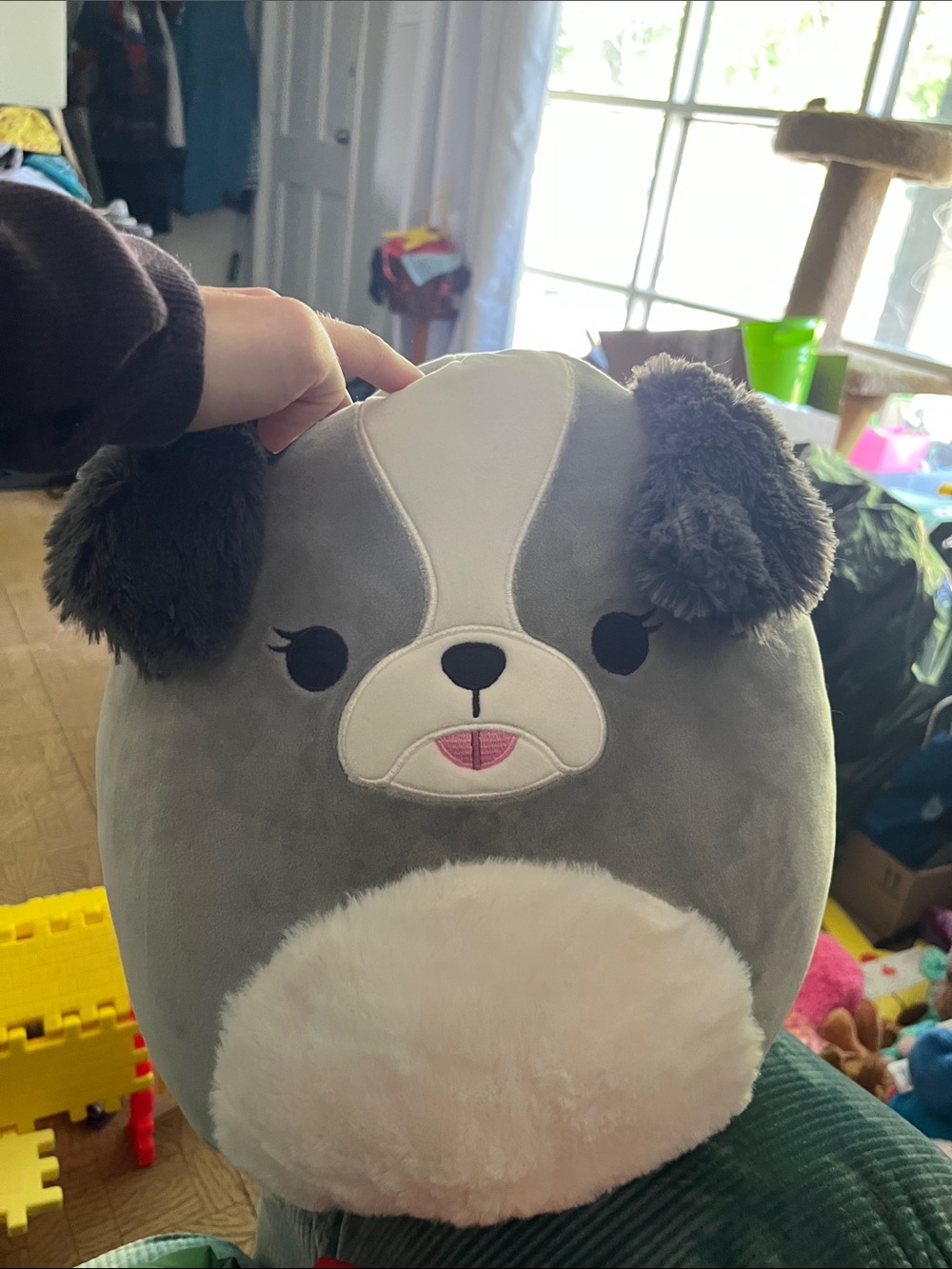 Squishmallows Gray and White Puppy Plush